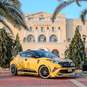 C-HR NGX10