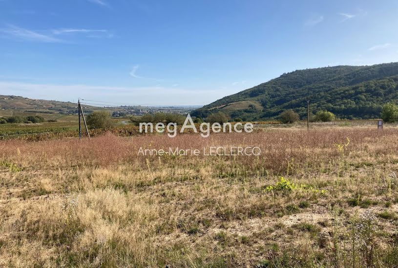  Vente Terrain à bâtir - 1 350m² à Émeringes (69840) 