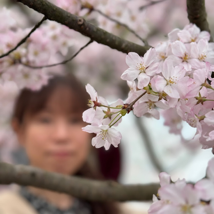 LSの春ですね・BBSのチェアーも貰えるかな〜・4月もよろしくお願い致します🌸に関するカスタム事例の投稿画像6枚目