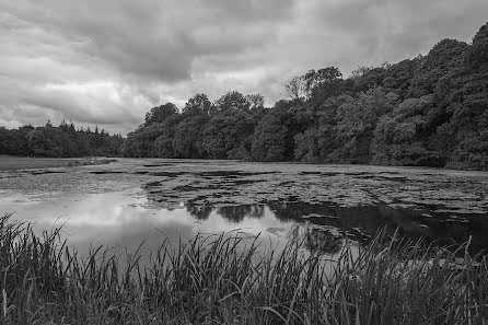 Huwelijksfotograaf Shane O Neill (aspect). Foto van 9 juni 2015