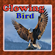 Download Newglowing Birds 4K Wallpaper For PC Windows and Mac 1.1