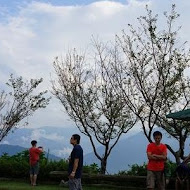 清境雲頂山莊