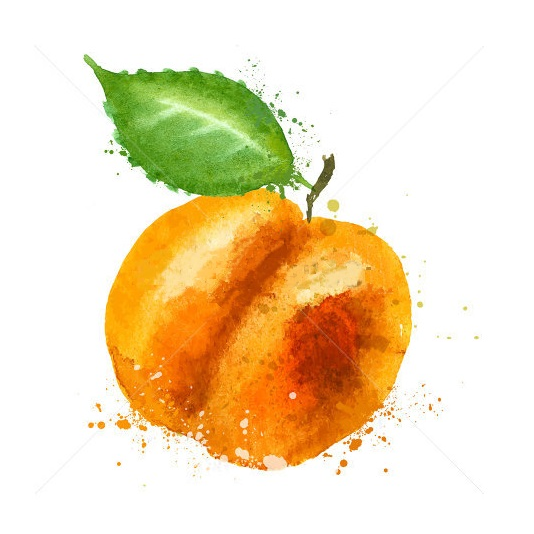 Logo of Buena Vista BC - Apricot IPA