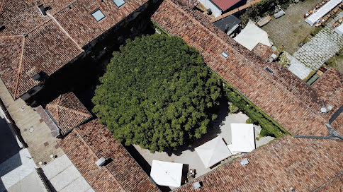 Fotógrafo de casamento Daniil Onichev (onichev). Foto de 4 de março 2023