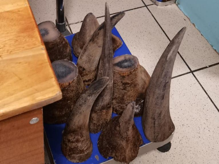 Recent trends in rhino poaching show a move away from the Kruger National Park to private reserves and KwaZulu-Natal, where most rhinos have been killed this year.