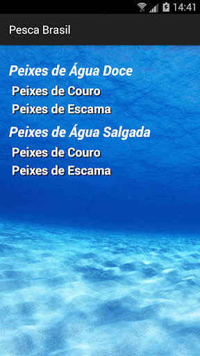 Pesca Brasil