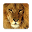Angry Lion Download on Windows