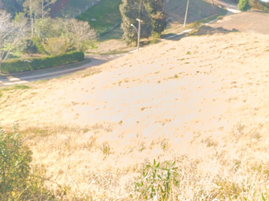 Terreno Residencial à venda em Vale Alpino, Teresópolis - RJ - Foto 4