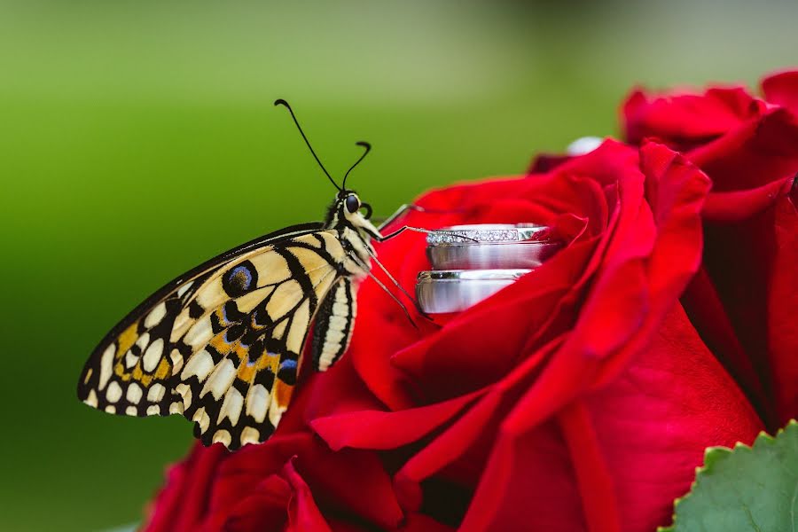 Bryllupsfotograf Anastasiya Arrigo (nuvola). Foto fra september 17 2015