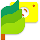 Download SnapTree - Photo Editor & FIlters For PC Windows and Mac 1.0