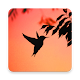 Download Hummingbird Wallpapers For PC Windows and Mac