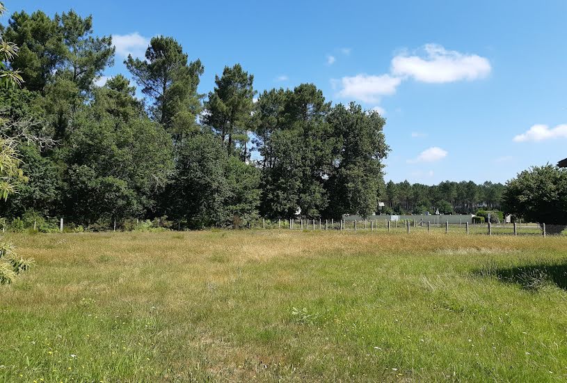  Vente Terrain à bâtir - 1 600m² à Mios (33380) 