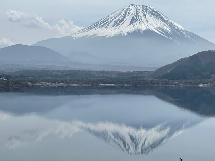 の投稿画像3枚目