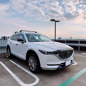 CX-8 KG2P