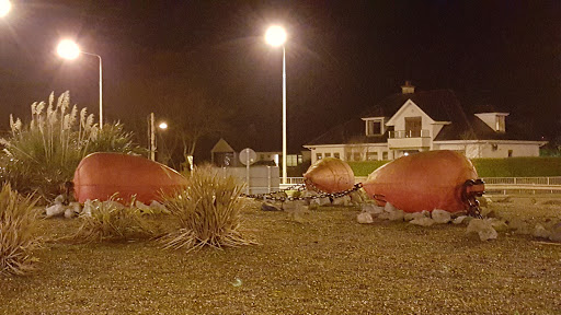 Strandside Buoys