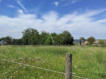 terrain à Sceaux-d'Anjou (49)