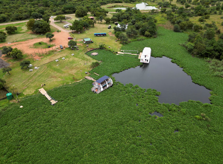 View of boats stuck in a sea of invasive green water hyacinth weed at Hartbeespoort Dam on February 16. Picture: SHAFIEK TASSIEM/REUTES