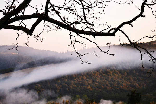 La nebbia mattutina di Djdan82