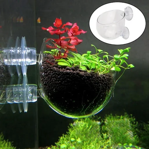 Aquarium Decoration Plant Cup Pot Acrylic Aquatic Plant Cup With Suction Holder Planting Cylinder Cup Aquarium Accessori