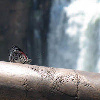 Un volo alle cascate di 