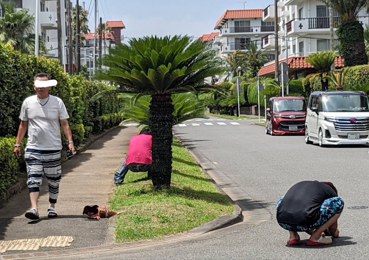 の投稿画像6枚目