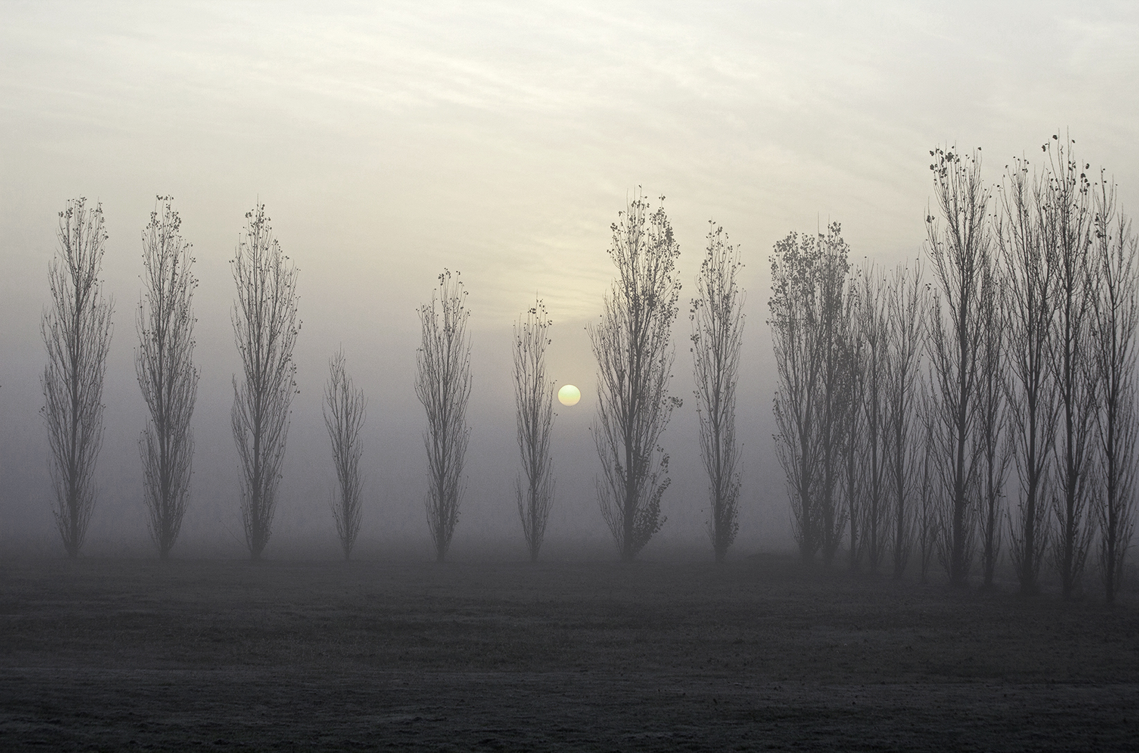 Alba sul delta del Po di FrancescoPaolo