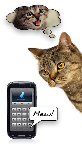 Human To Cat Play With Your Cat التطبيقات على Google Play