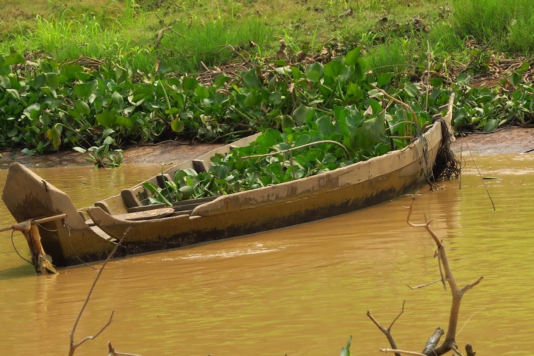 boat trip downstream from the stilt village of Kampong Kheang to a floating village in the middle of Tonle Sap and back