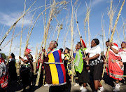 Omama besiPhithiphithi, who take care of zulu maidens, a group formed and led by the late Zulu Queen Mantfombi Dlamini-Zulu arrive with reeds at KwaKhangela Royal Palace.