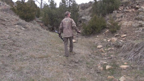 Archery Elk Hunts in Idaho and Montana thumbnail
