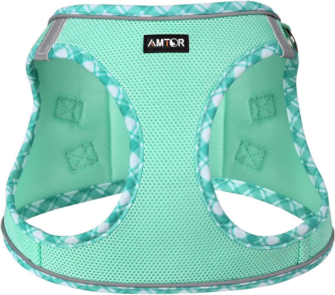 AMTOR Adjustable Dog Harness