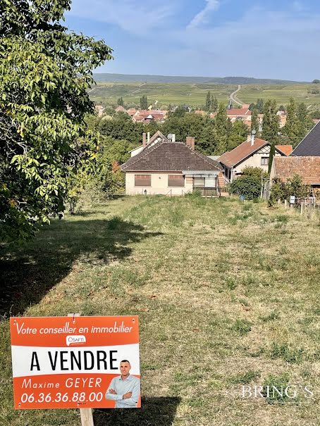 Vente terrain à batir  471 m² à Mutzig (67190), 80 000 €