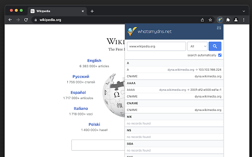 DNS Lookup