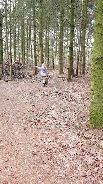 visdonk bos roosendaal