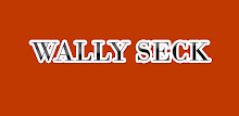 wally seck 2019 sans internet APK