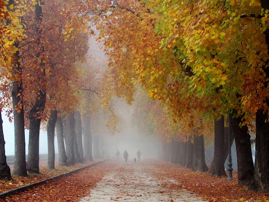 Passeggiata mattutina di Giorgio Lucca