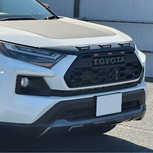 RAV4 MXAA54