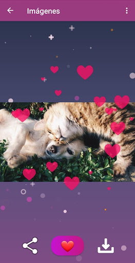 Imágenes y Frases de Amor