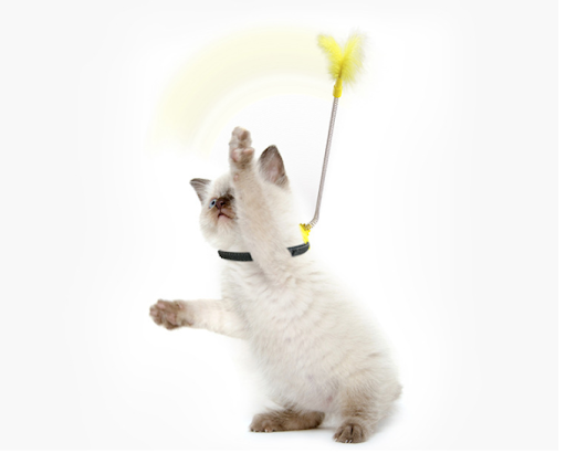 Title 3, Self Healing Cat Collar Neck Toy Spring Foot Wi...