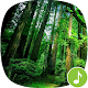 Download Appp.io - Rainforest Sounds For PC Windows and Mac 1.0.2