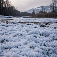 Fiori di ghiaccio di 