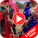 Bhojpuri Video Song HD icon