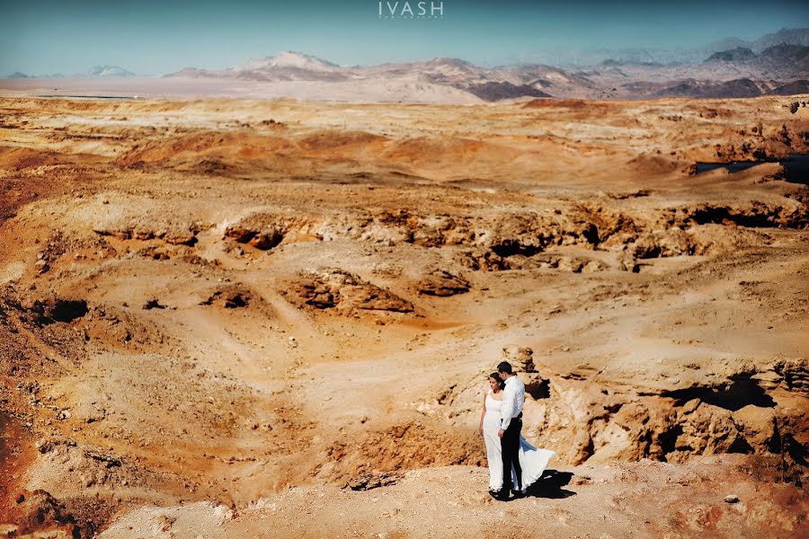 Fotografo di matrimoni Volodymyr Ivash (skillove). Foto del 10 novembre 2015