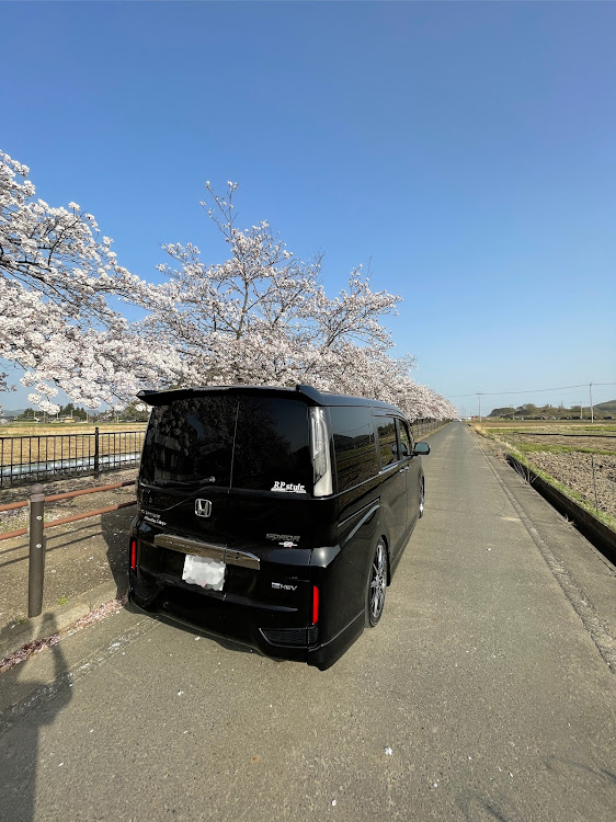 ステップワゴンスパーダのステップワゴンRP5・無限MUGEN・ブラックスタイル・桜と愛車に関するカスタム事例の投稿画像5枚目
