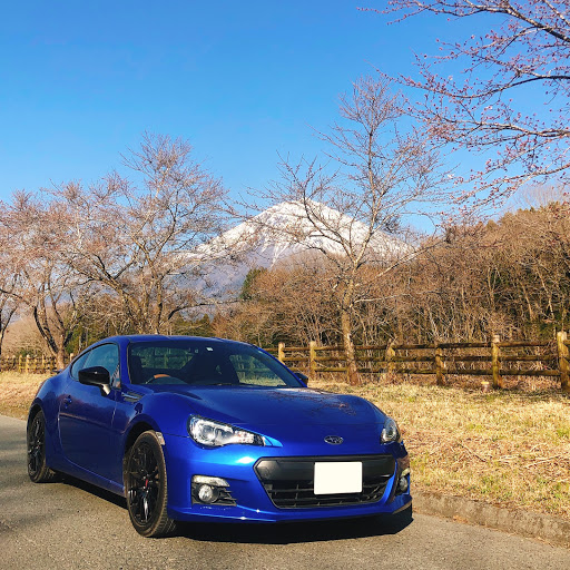 アンジェロのプロフィール画像