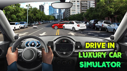 Drive In Luxury Car Simulator