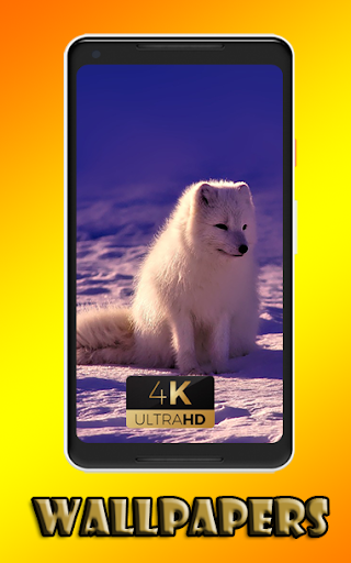 Arctic Fox animal Wallpaper