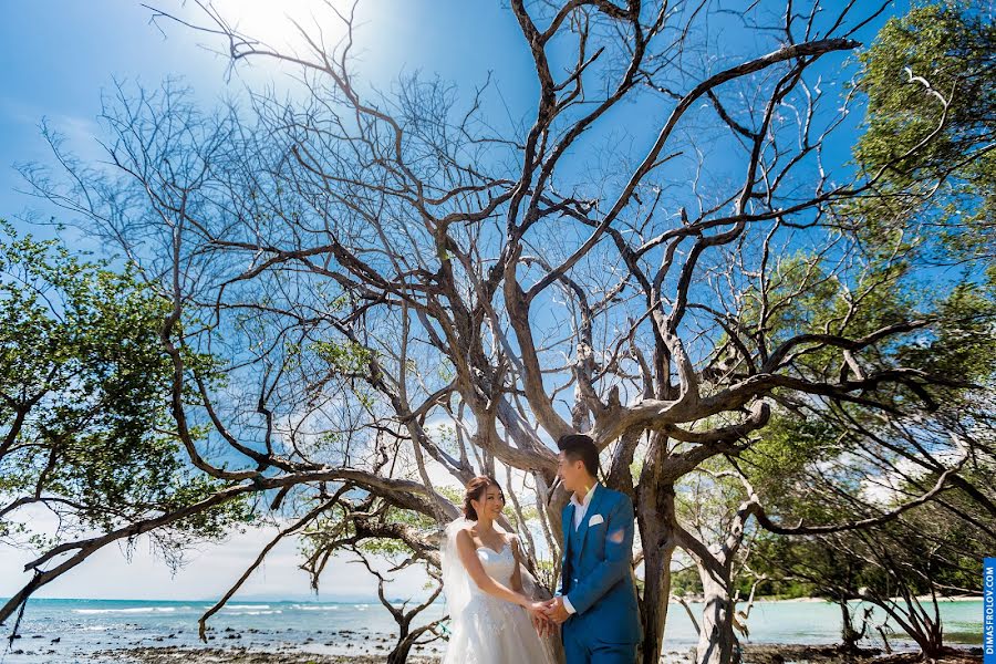 Fotógrafo de casamento Dimas Frolov (dimasfrolov). Foto de 22 de fevereiro 2017