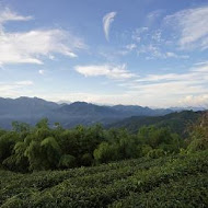 嘉義梅山二尖山休閒茶園