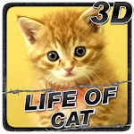 Life of Cat Apk